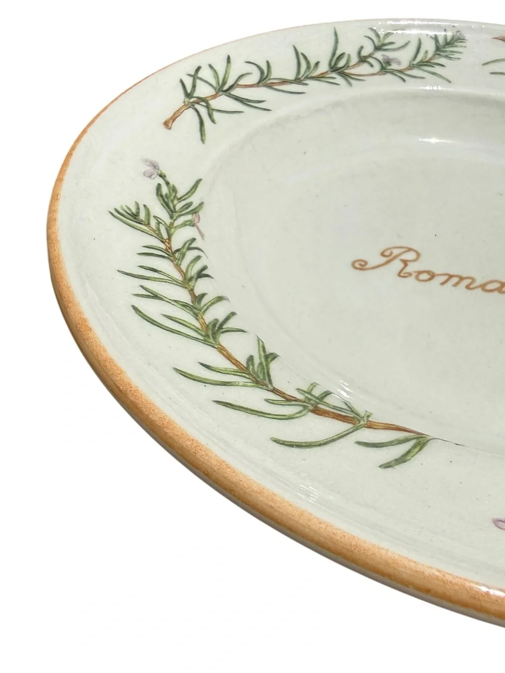 Vintage Williams Sonoma Romarin Rosemary Pasta Soup Bowl Italy Retired Rare HTF